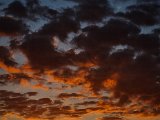 20220529_050711.jpg