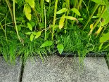 20220607_105221.jpg