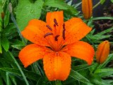 20220607_162649.jpg
