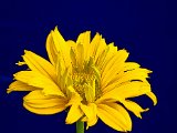 20220613_084536.jpg