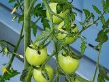 20220617_095147.jpg