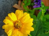 20220617_102239.jpg