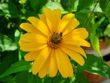 20220617_102308.jpg