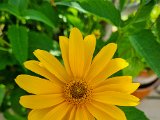 20220620_081357.jpg