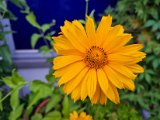 20220620_203850.jpg