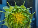 20220630_170330.jpg