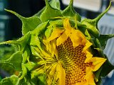 20220701_092550.jpg