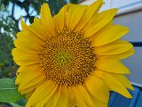 20220703_193456.jpg