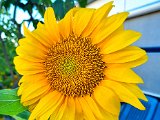 20220703_193559.jpg
