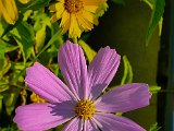 20220706_081527.jpg