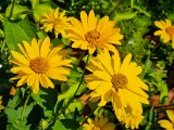 20220706_081545.jpg