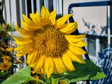 20220706_081601.jpg