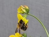 20220706_172006.jpg