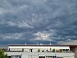 20220706_172258.jpg