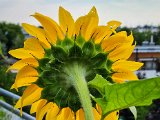 20220707_082358.jpg
