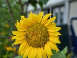 20220707_082416.jpg