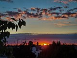 20220712_051121.jpg
