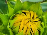 20220714_170333.jpg