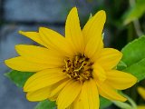 20220714_170403.jpg