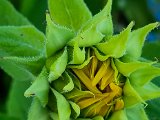 20220714_170416.jpg