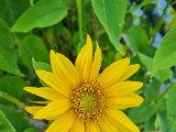 20220717_180743.jpg