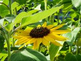 20220718_081430.jpg