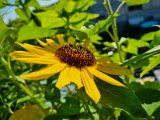 20220719_085819.jpg