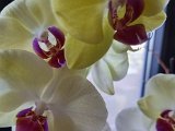 20220721_095420.jpg