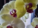 20220721_095421.jpg