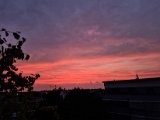 20220723_050135.jpg