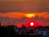 20220723_052635.jpg