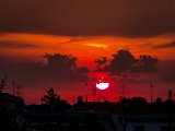 20220723_052806.jpg