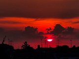 20220723_052835.jpg
