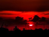 20220723_095243.jpg