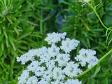 20220725_172659.jpg