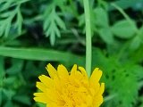 20220725_172758.jpg