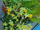 20220725_182241.jpg