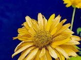 20220726_122626.jpg