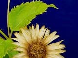 20220726_122644.jpg