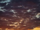 20220728_070122.jpg