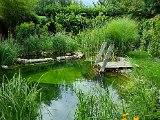 20220730_173230.jpg