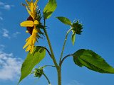 20220731_082531.jpg
