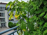 20220807_075619.jpg