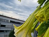 20220807_075652(0).jpg