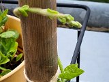 20220807_080428.jpg