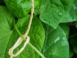 20220807_080451.jpg