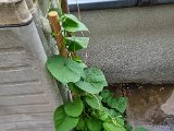 20220807_080536.jpg