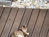 20220807_174147.jpg