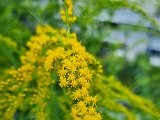 20220807_184013.jpg