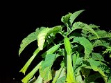 20220808_010350.jpg
